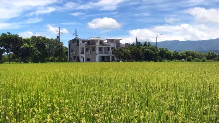 鄉間小路民宿花蓮民宿平價親子包棟villa特色火車站附近推薦