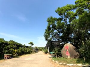 新竹佳信茶花園 佳信茶花園：新竹香山最佳賞花勝地，茶花清香，舒服花海漫遊好地方