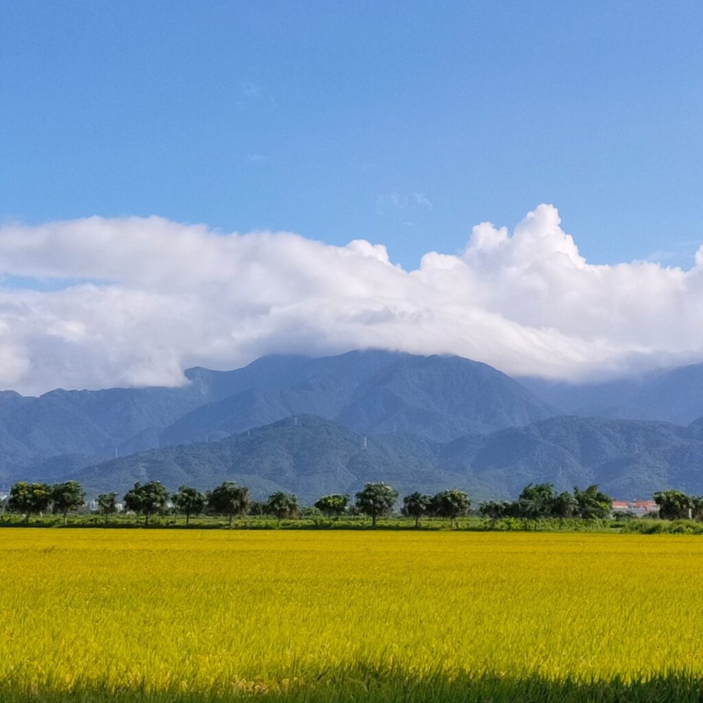 幸福蝸牛宜蘭民宿親子包棟villa情侶cp值高排名賞鳥賞花推薦