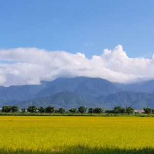 民宿數據驅動的營銷決策+行銷策略