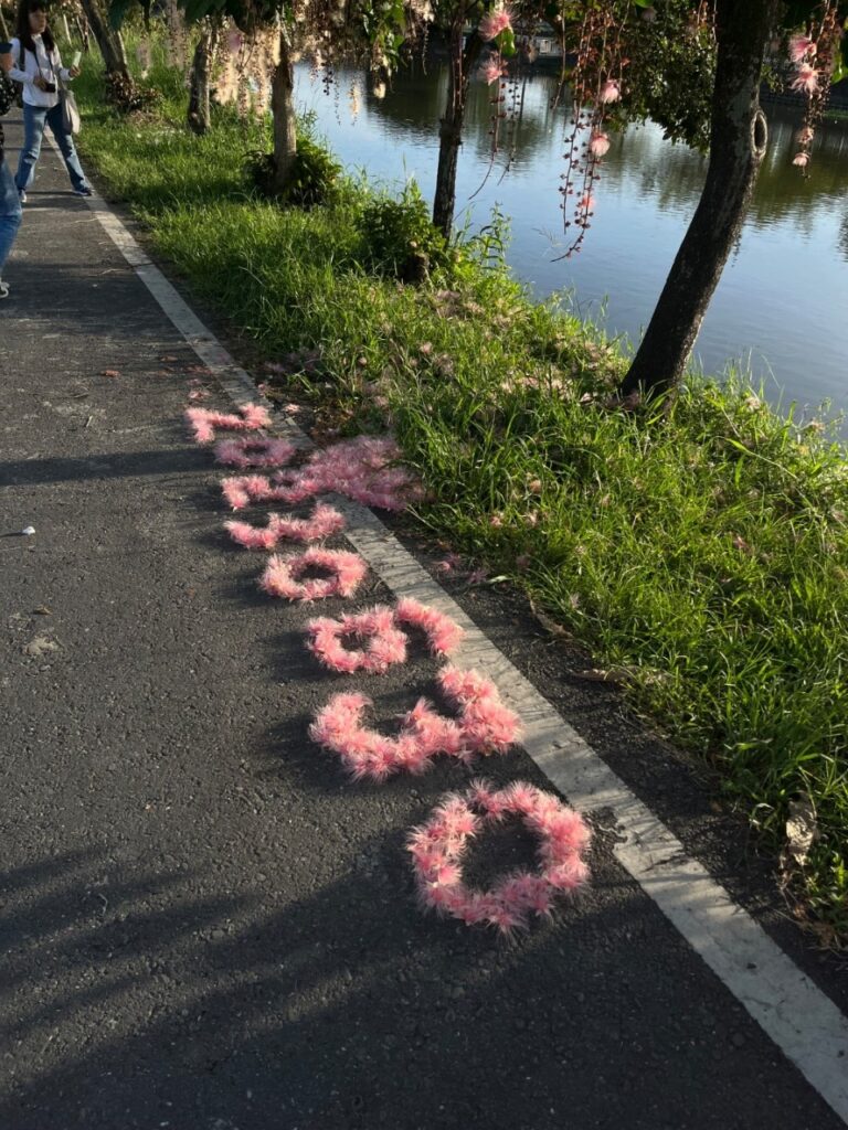 幸福蝸牛宜蘭民宿親子包棟villa情侶cp值高排名賞鳥賞花推薦