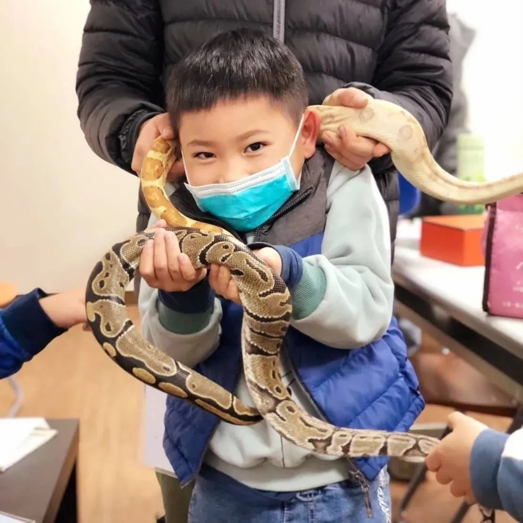 甲蟲王者探索營
兒童科學夏令營台北
桃園寒暑假兒童營隊
台灣爬蟲類研究中心
兒童生態學習活動
夏令營戶外探索行程
兒童動物生態教育
夏令營安全遊覽車服務
台北小巨蛋捷運站附近夏令營
桃園火車站周邊兒童夏令營