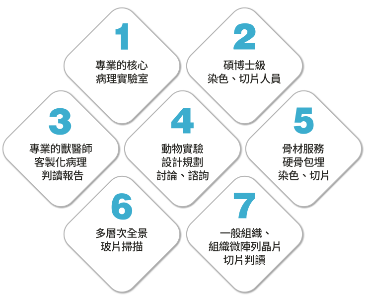 病理組織 包埋切片染色 醫學研究 科研領域 組織樣本 細胞結構 組織病變 病理變化 高質量 精確處理