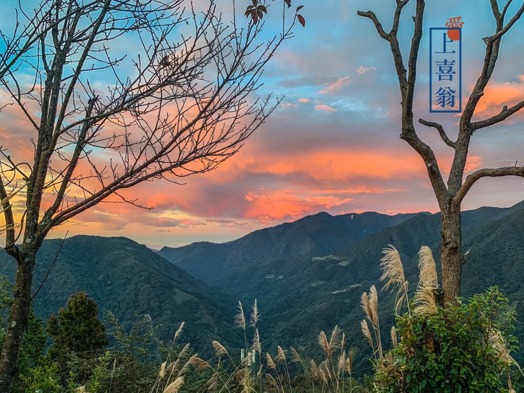 新竹雲霧之上露營地點推薦：享受仙境般的自然美景