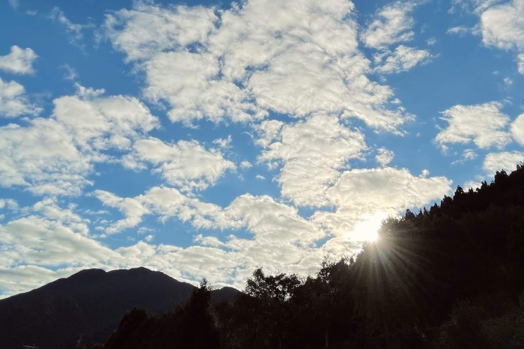 愛上喜翁
豪華露營推薦
新竹露營地
親子露營
寵物友善露營
泰雅族射箭文化
高山露營
無光害星空
一泊四食
高山美食