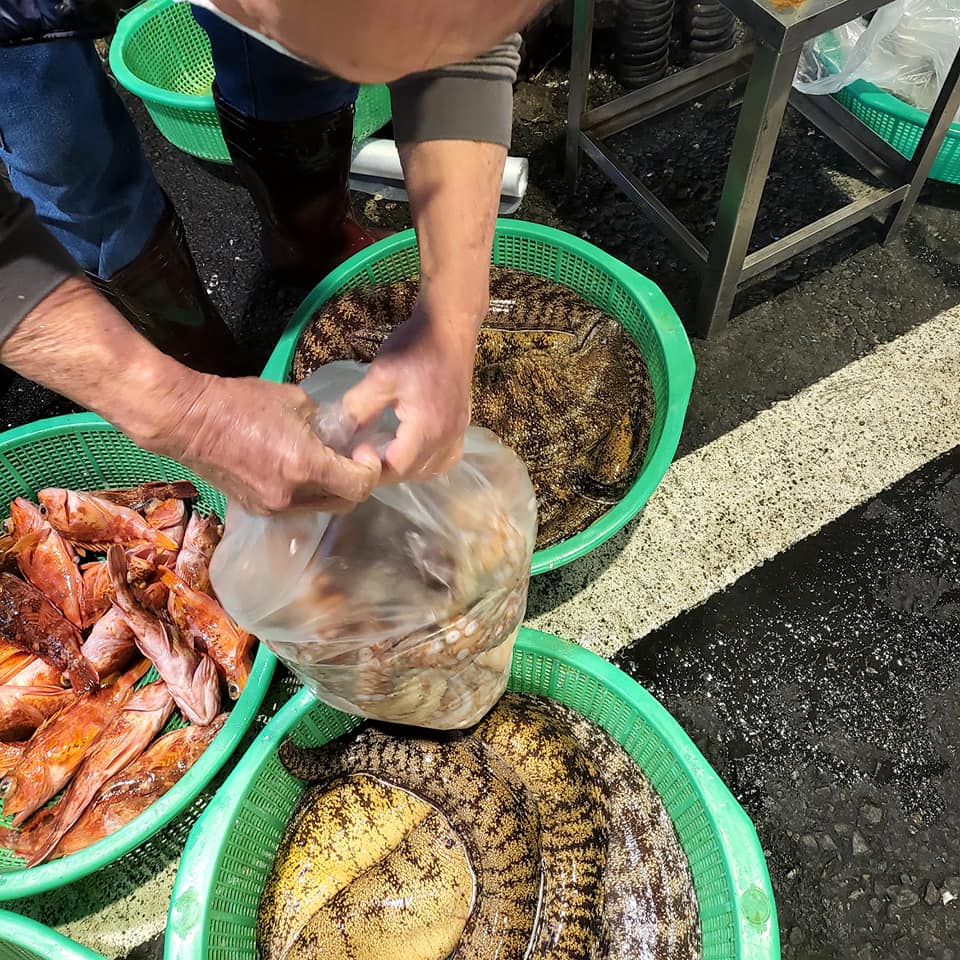 藤田屋 日式餐廳
新鮮漁獲