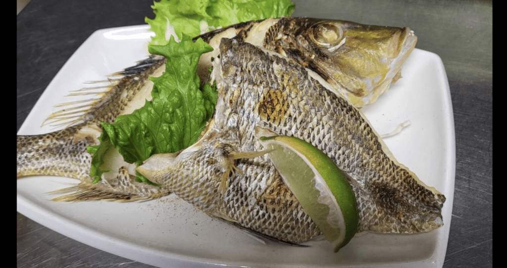 竹北 晚餐最佳選擇：竹北藤田屋日式美食天堂，必嘗蒲燒鰻魚定食