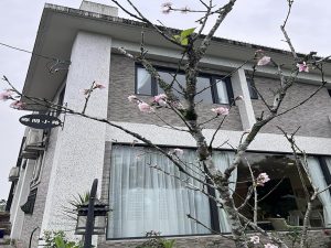 2024花蓮包棟民宿推薦｜享受獨立空間的完美住宿