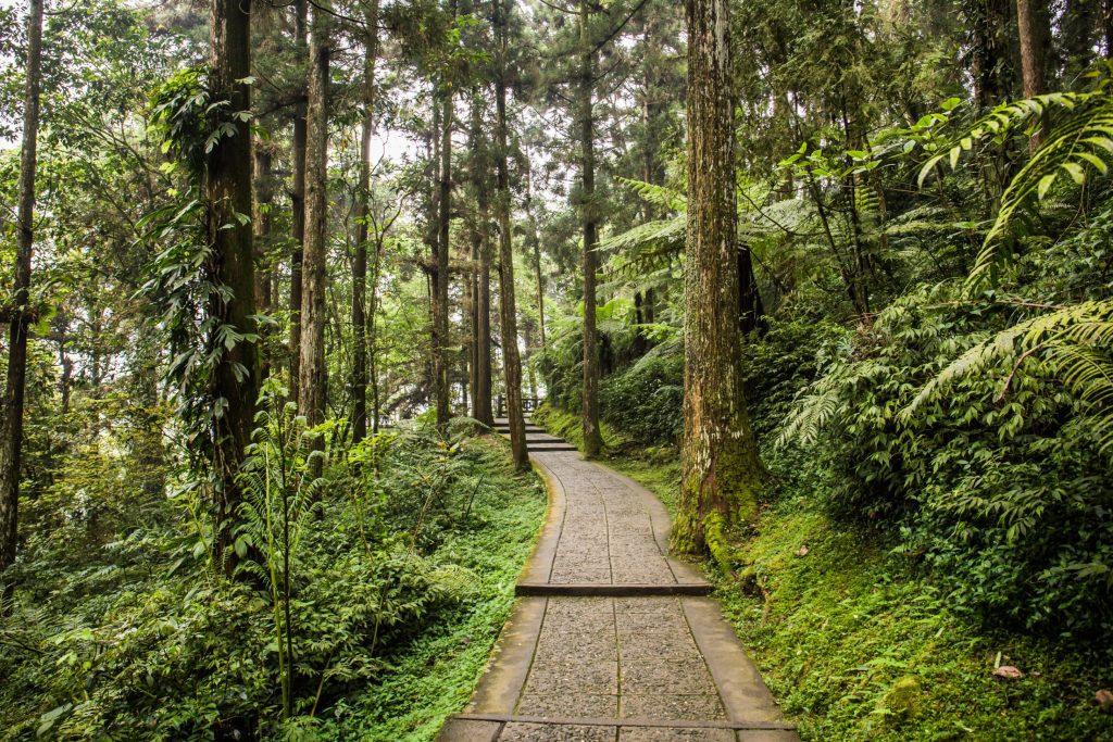 台灣旅遊景點排名｜一生必去的台灣最值得去的10大景點推薦