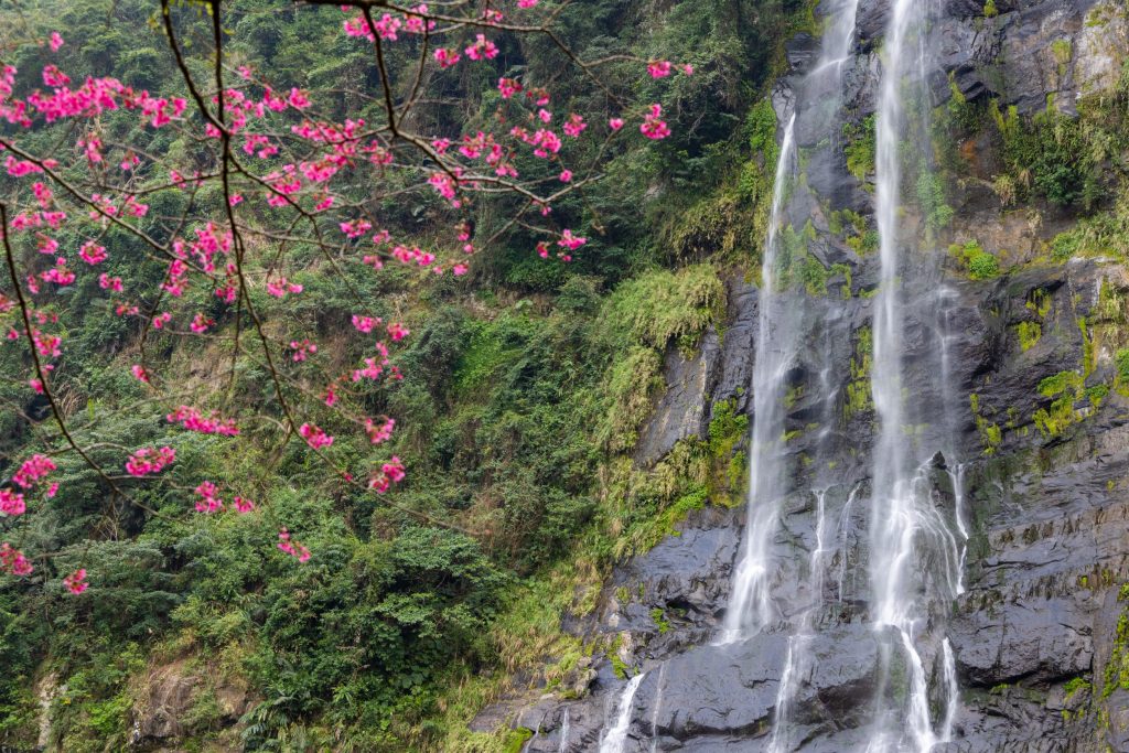 探索台灣最值得去的地方：一日遊與週末輕旅行推薦