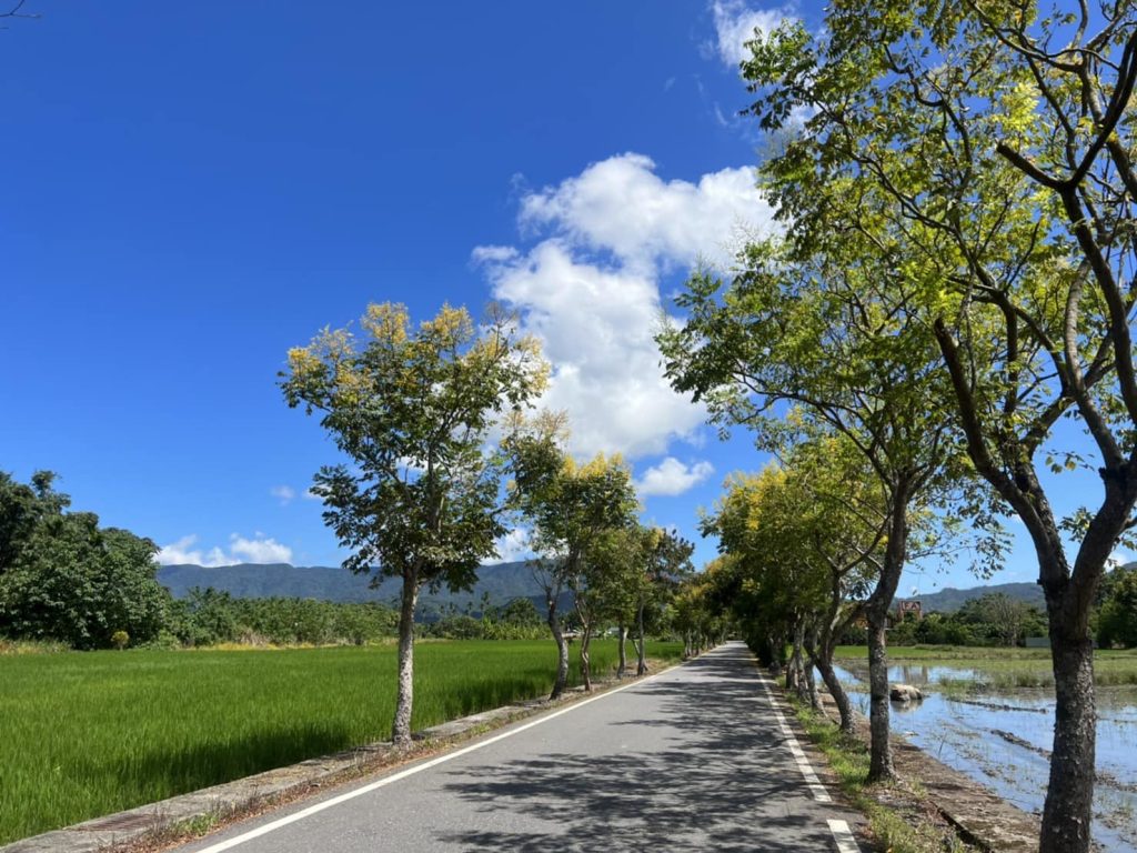 花蓮秘境民宿推薦｜鄉間小路民宿，避開人潮享受寧靜的私人空間