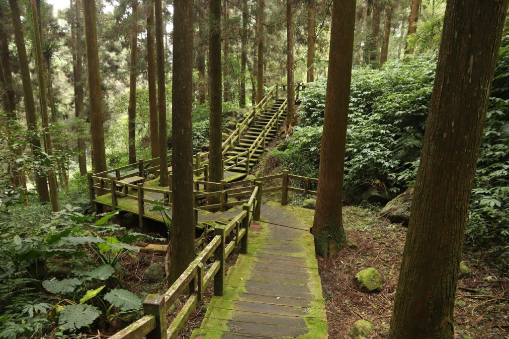 2024 台灣旅遊景點排名｜從阿里山到日月潭的絕美景點推薦