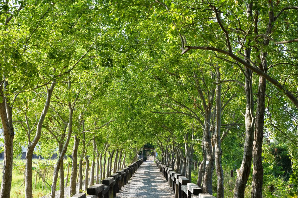 台灣短途旅行推薦：適合週末出遊的台灣十大旅遊景點