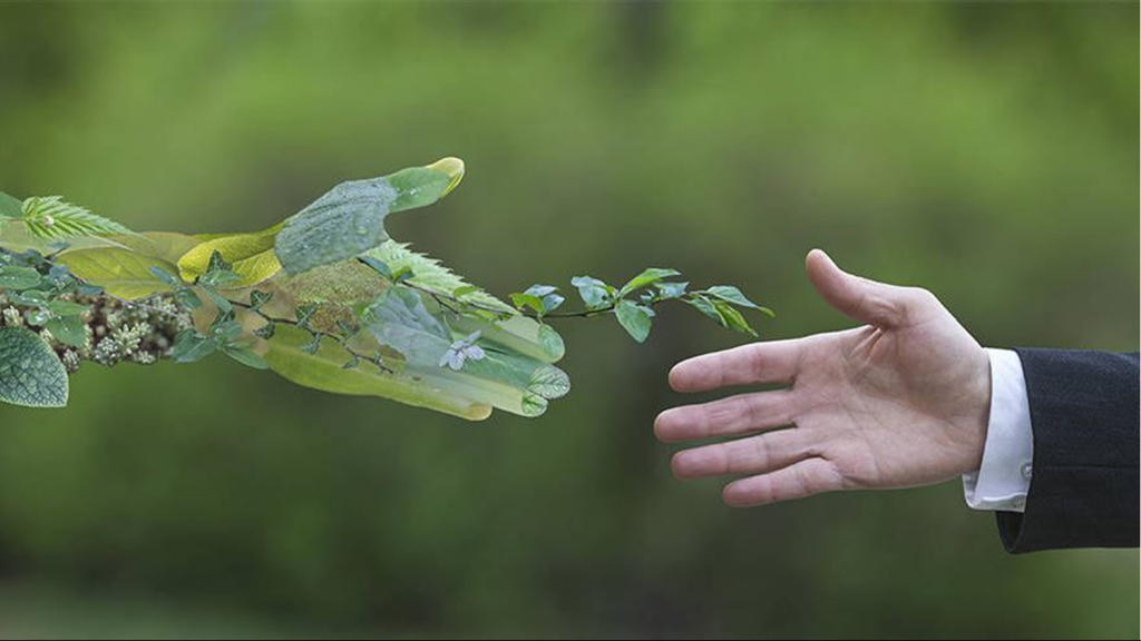 水瓶座日期與孤獨感：如何利用內心寧靜實現自我成長