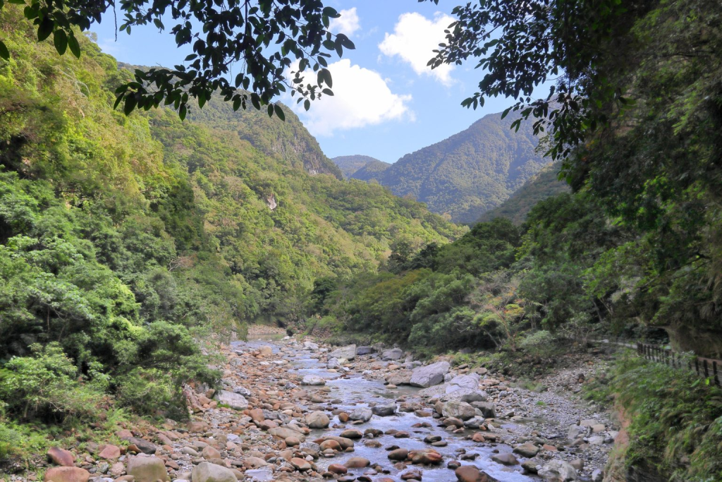 台灣最值得去的地方：從阿里山到太魯閣的壯麗風光指南