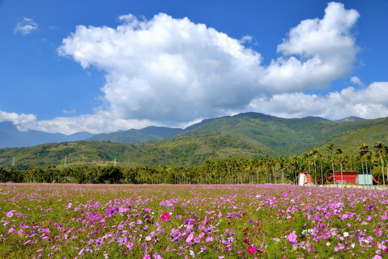 探索台灣一生必去景點：花東最佳旅遊路線