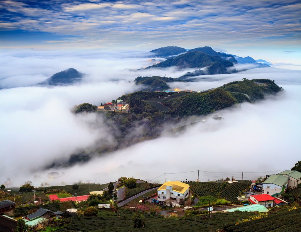 阿里山雲海奇觀：台灣一生必去景點推薦