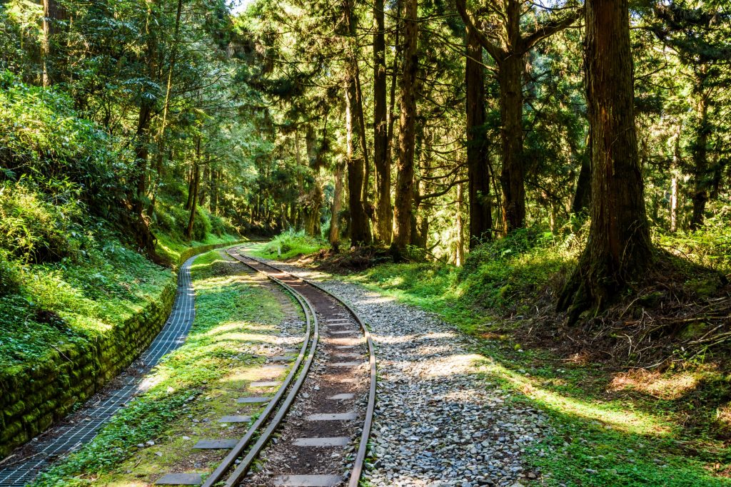 台灣一生必去景點清單：從日出到日落的阿里山之旅