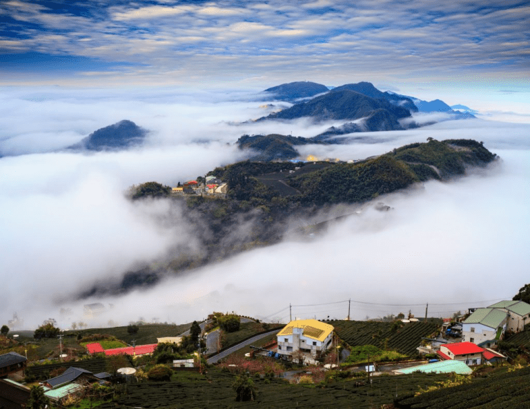 台灣一生必去景點清單：從日出到日落的阿里山之旅