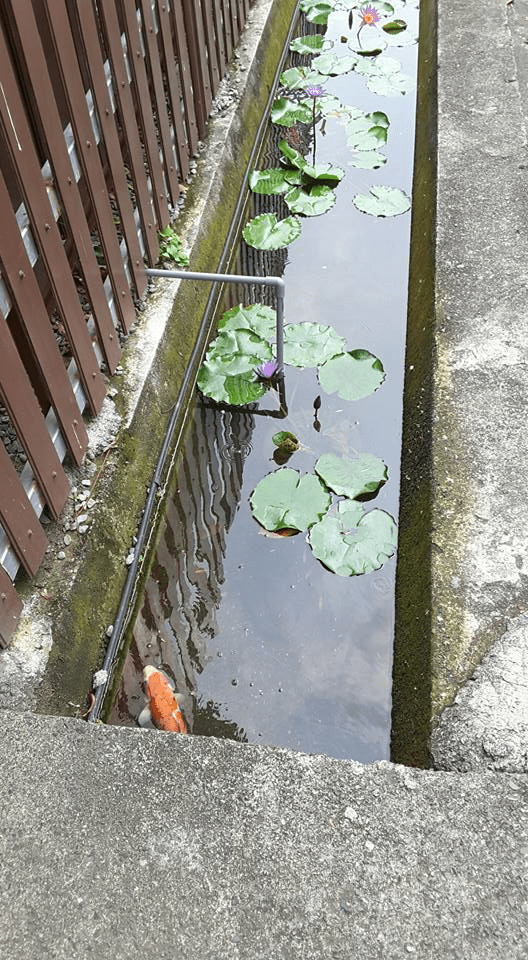 台灣一生必去景點：2024年度十大打卡熱點推薦