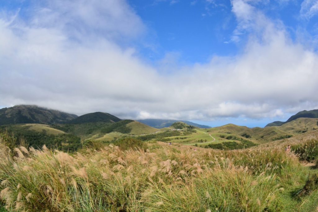 陽明山擎天崗