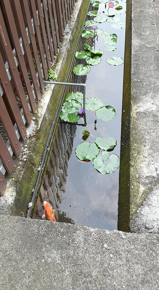 台灣旅遊景點排名解析：從自然景觀到文化、美食體驗