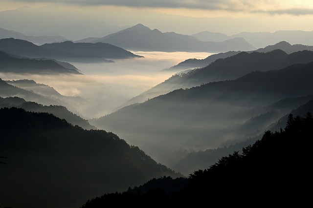 最佳露營地指南：探索阿里山和日月潭的夢幻露營地點