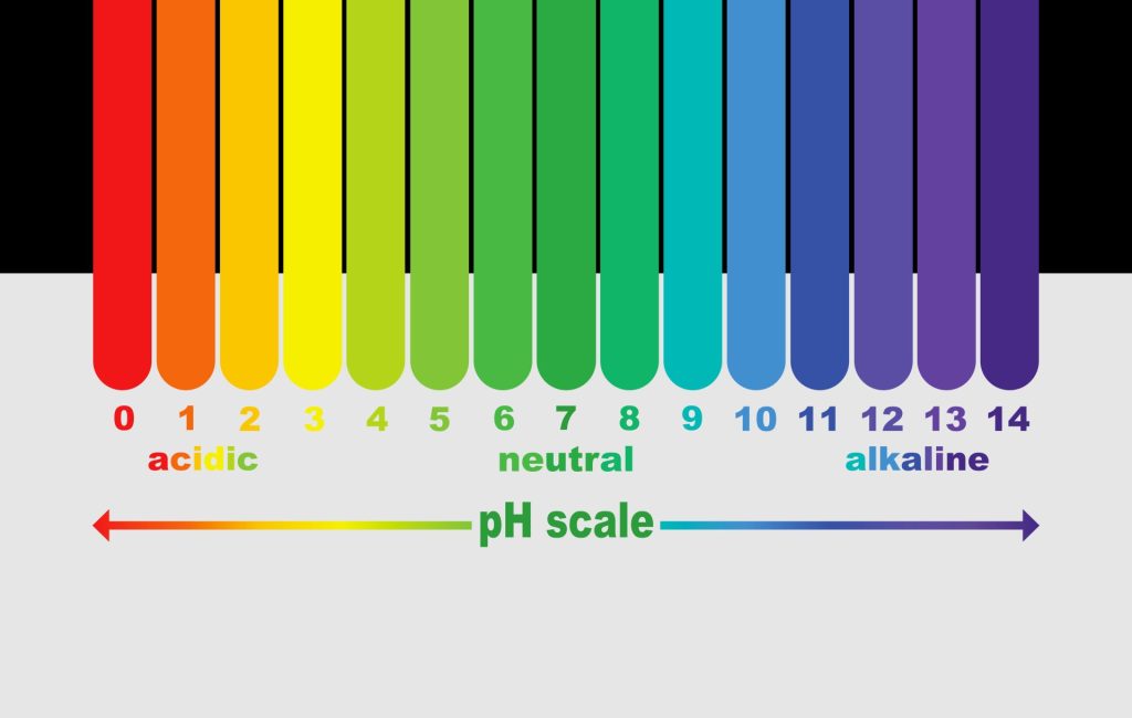 pH 試紙種類與用途介紹：深入了解酸鹼測試的妙用