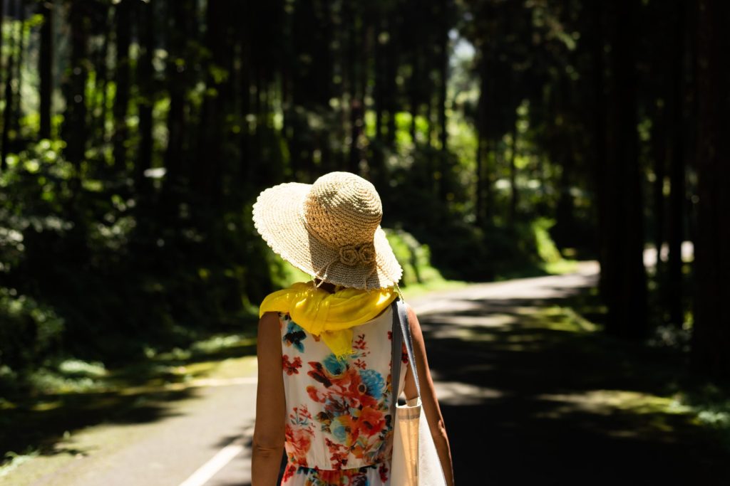 溪頭森林遊樂區