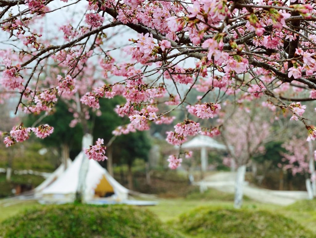 懶人露營園區