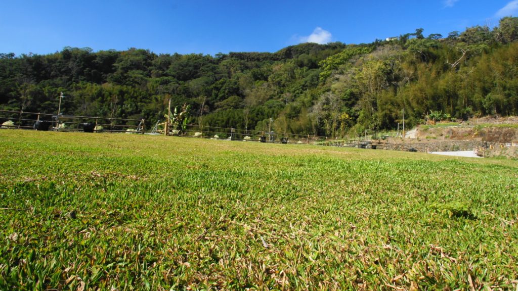 最佳露營地指南：探索阿里山和日月潭的夢幻露營地點