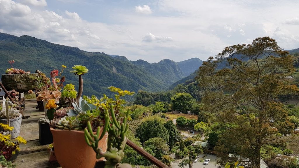 最佳露營地指南：探索阿里山和日月潭的夢幻露營地點