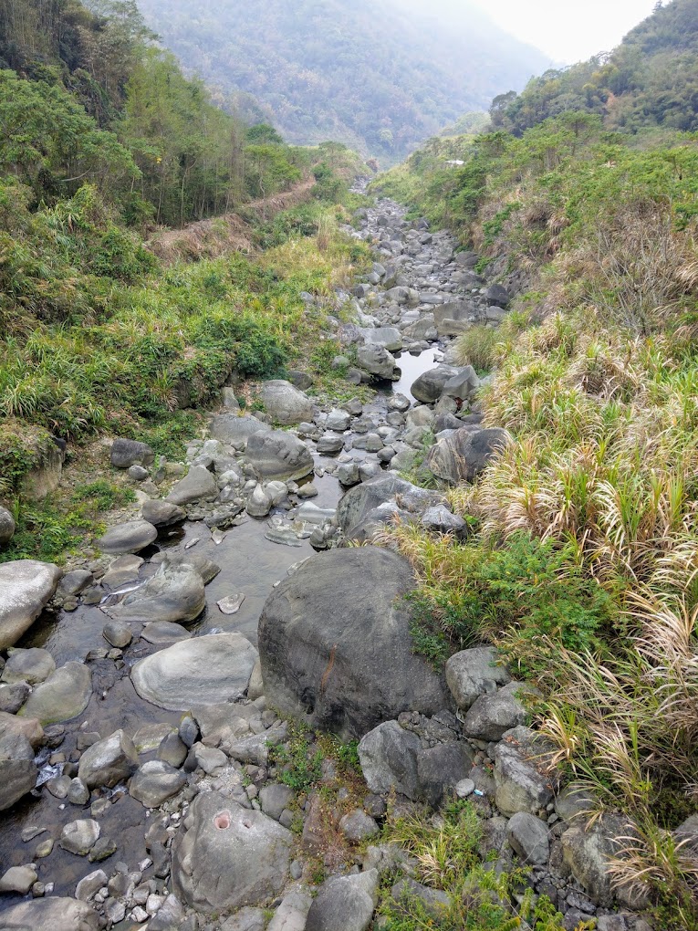 最佳露營地指南：探索阿里山和日月潭的夢幻露營地點