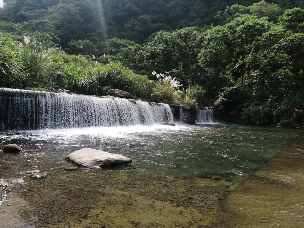 最佳露營地指南：探索阿里山和日月潭的夢幻露營地點