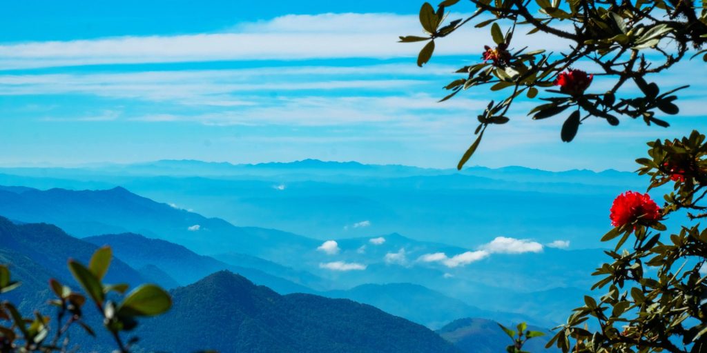 最佳露營地指南：探索阿里山和日月潭的夢幻露營地點