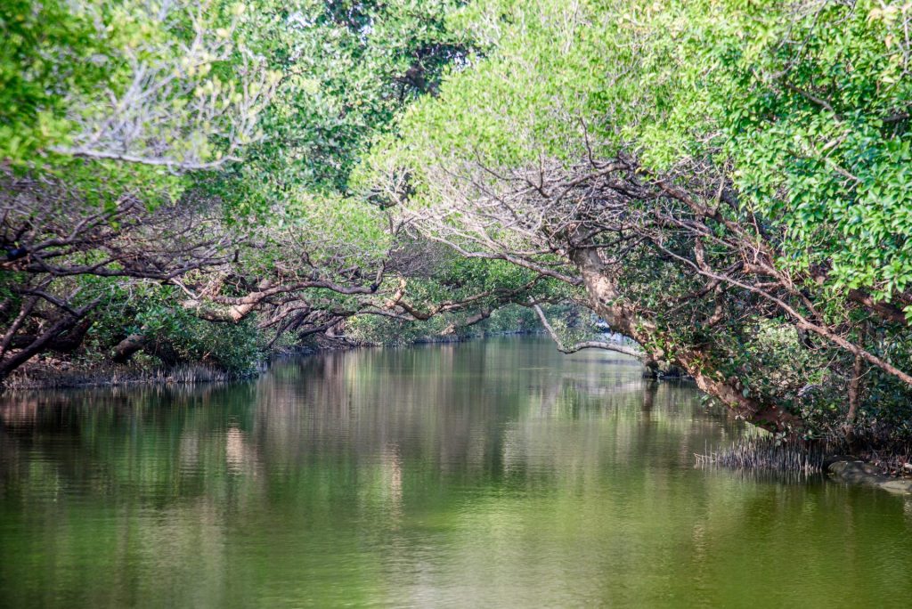 台江國家公園