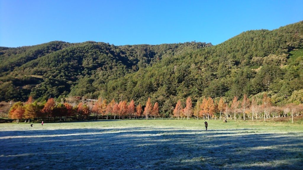 秋冬季台中露營攻略：最佳觀楓地點與保暖秘訣