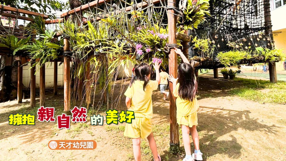 私立幼稚園｜台南地區 8間私立幼稚園推薦與評價