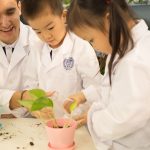 從零開始學英文：小學生英語入門的 5 大步驟