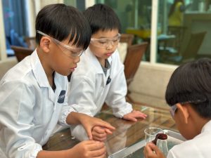 孩子必玩！5個簡單又好玩的科學實驗在家動手做