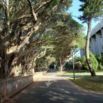 中原大學設計學院亮點：父子三人同年畢業佳話，啟發跨世代設計夢