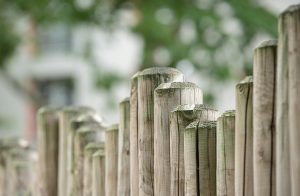 職場人必學的工作界限：75分原則與6種高情商說不話術