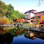 「特殊選才」進入嘉大生化系 賴妤瑄錄取 UCL 等 6 所全球頂尖名校，國際實習成關鍵跳板