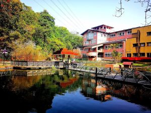 「特殊選才」進入嘉大生化系 賴妤瑄錄取 UCL 等 6 所全球頂尖名校，國際實習成關鍵跳板