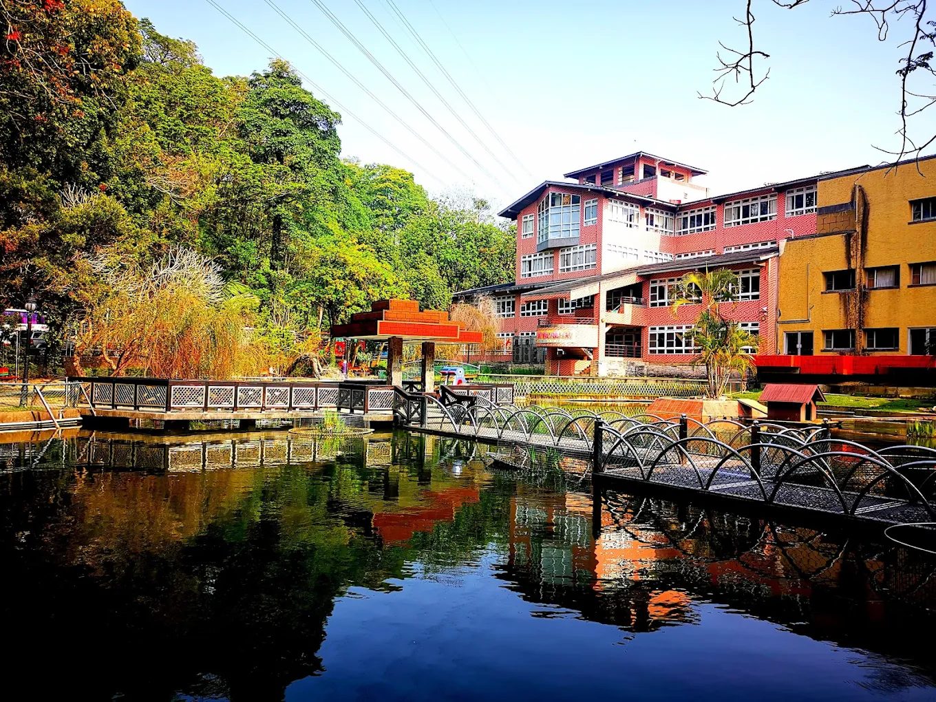 「特殊選才」進入嘉大生化系 賴妤瑄錄取 UCL 等 6 所全球頂尖名校，國際實習成關鍵跳板