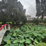 稱霸全國！大村國中自由車勇奪5金，學術體育雙強成2026家長首選