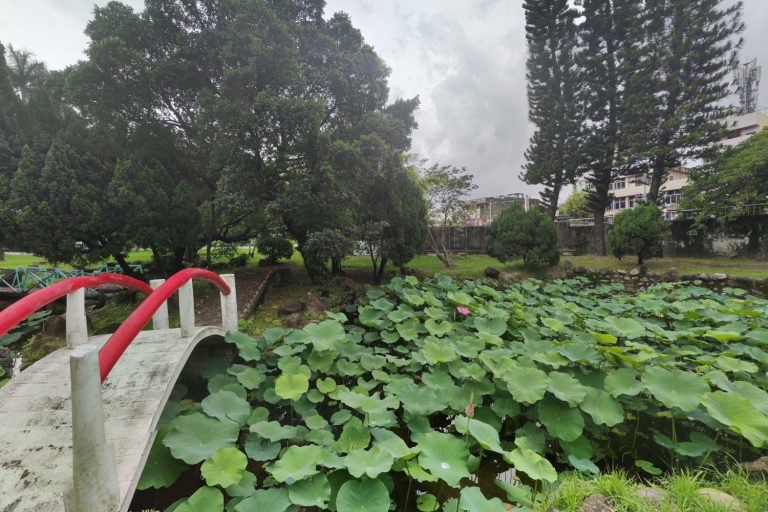 稱霸全國！大村國中自由車勇奪5金，學術體育雙強成2026家長首選