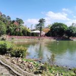 臺大 2026 爆發！QS 排名全球 63 創校史新高，29 位教授獲傑出研究獎