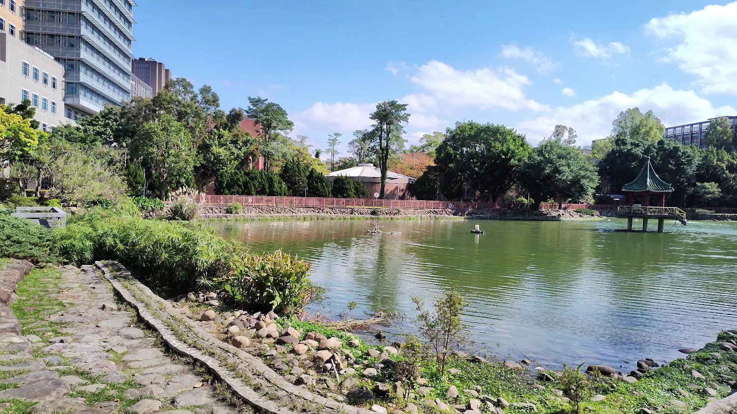 臺大 2026 爆發!QS 排名全球 63 創校史新高,29 位教授獲傑出研究獎