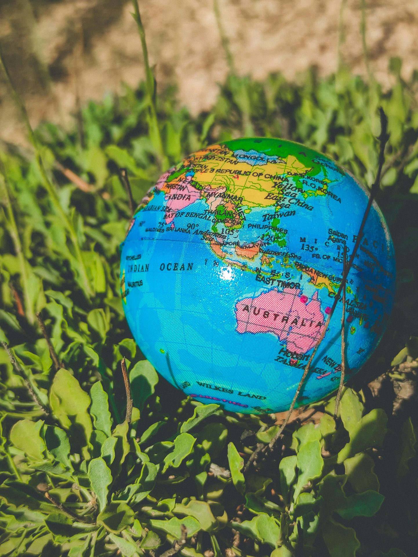 2026高雄日本人學校入學指南:深度解析日式教育與跨國留學機會